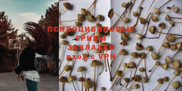 гидропоника Белокуриха